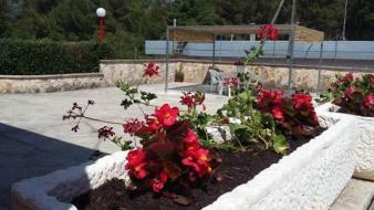 Villa Relax Martina Franca Eksteriør bilde