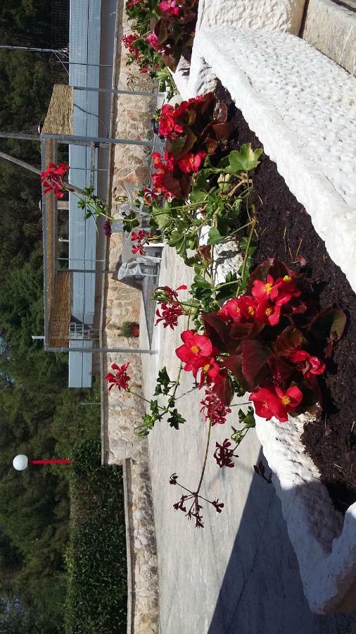 Villa Relax Martina Franca Eksteriør bilde